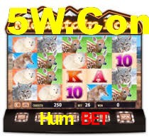 Sinta a adrenalina dos jogos de cassino com Hum Bet