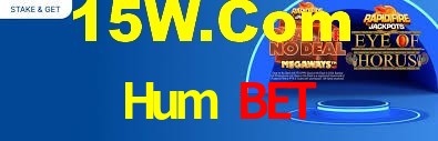 Daily Bonuses Hum Bet