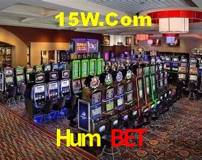 Flash Promotion Hum Bet