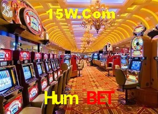 Security Systems Hum Bet