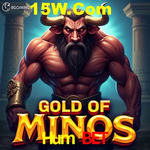 Security Systems Hum Bet