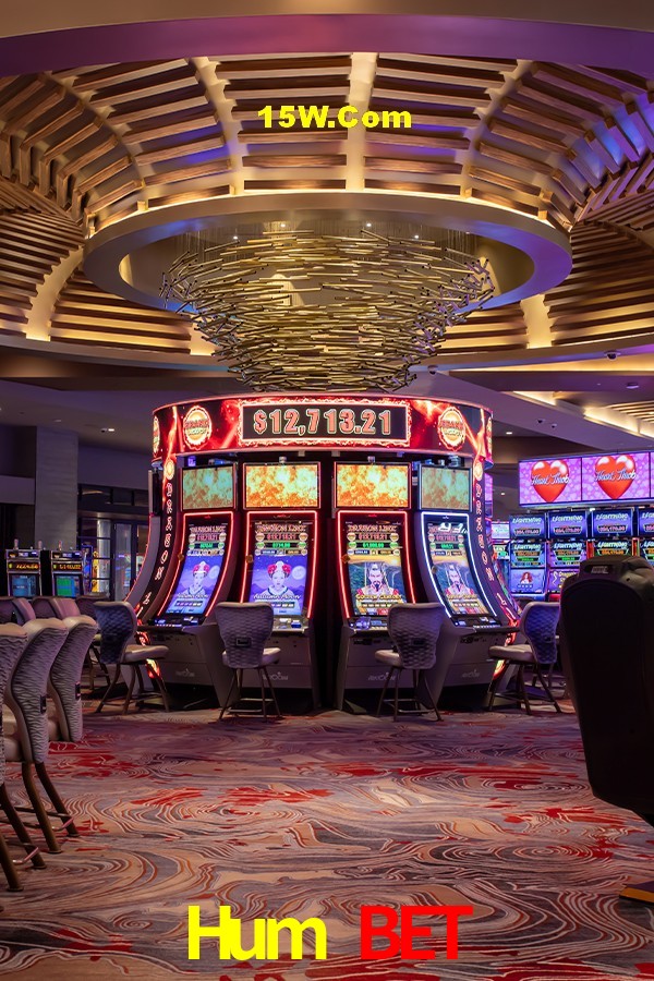 Game Statistics Hum Bet