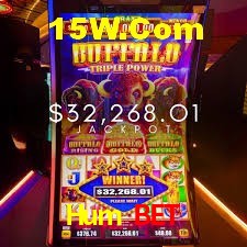 Sports Statistics Hum Bet